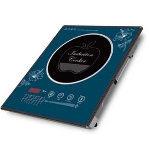 ViGO 2200W Induction Cooker